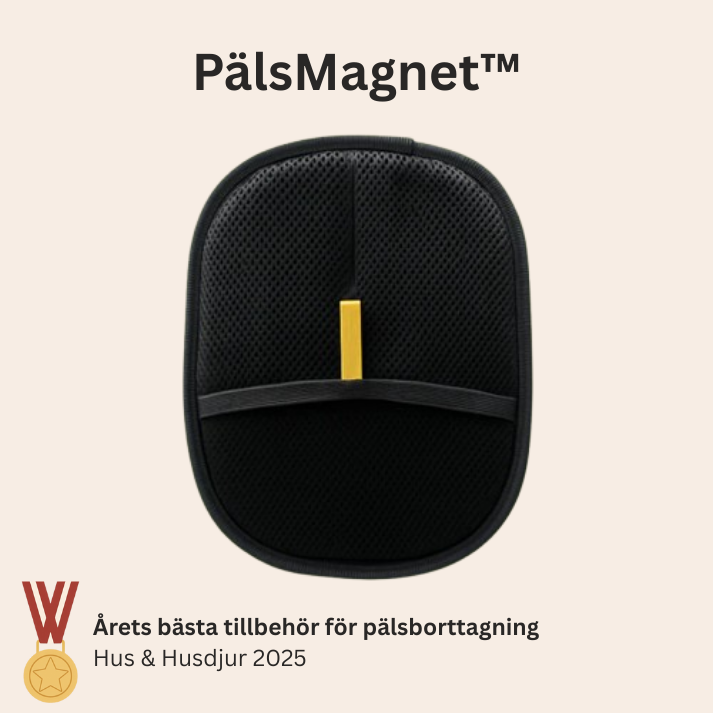 IconPaws® PälsMagnet – Effektiv Ludd- & Pälsborttagare